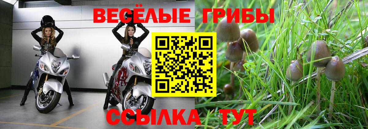 Псилоцибиновые грибы мицелий  Вход с VPN  Светлоград 