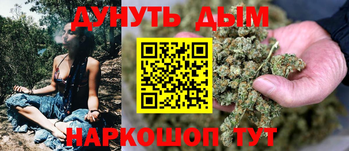 Бошки марихуана OG Kush Светлоград